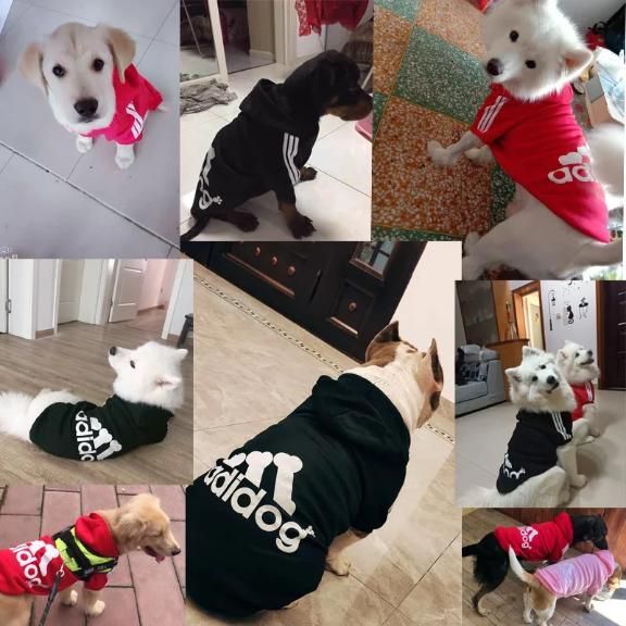 Adidog Pet Dog Hoodie (M)